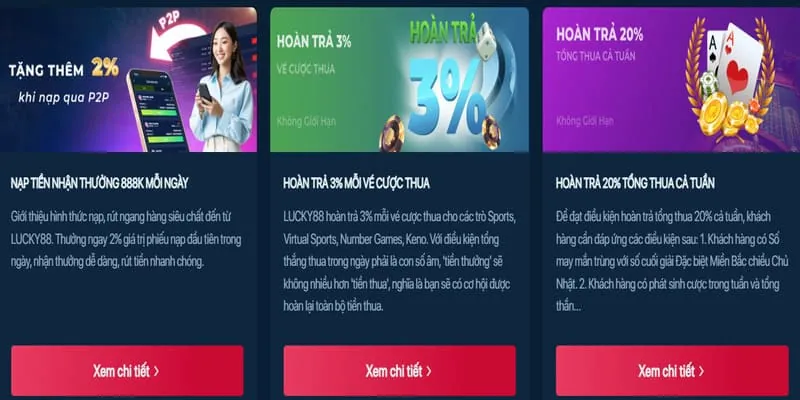 Chính sách và điều khoản BetVN